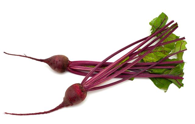 Mini biet rood per DOOS (6 stuks)