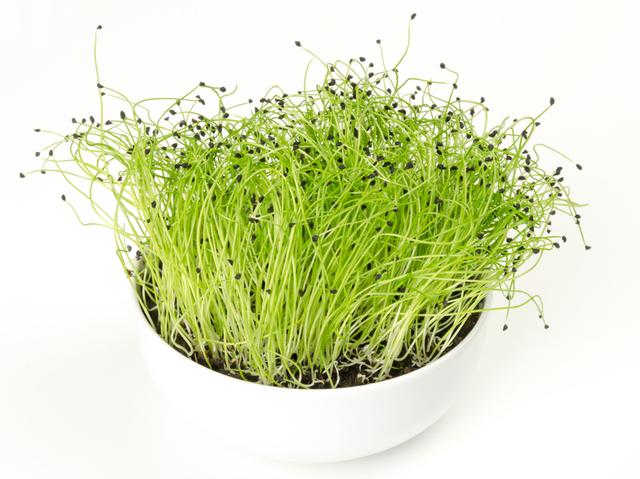 Prei scheuten per bakje (50gram)