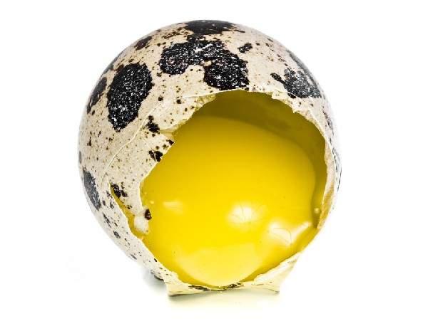 Kwarteleitjes doos 20 stuks bestel