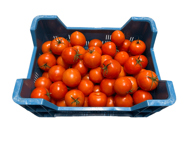 Tomaten kist 6 kilo