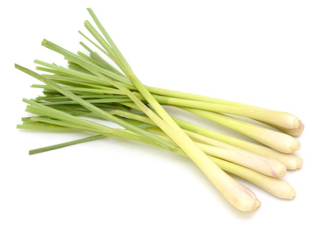 Sereh per bos  (Lemongrass) 250