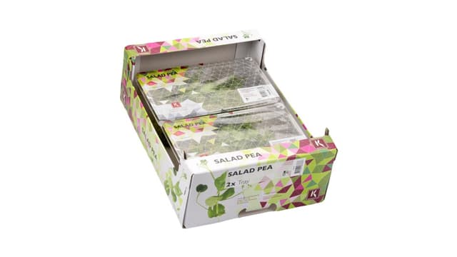 Salad Pea per doos 2x110 gram