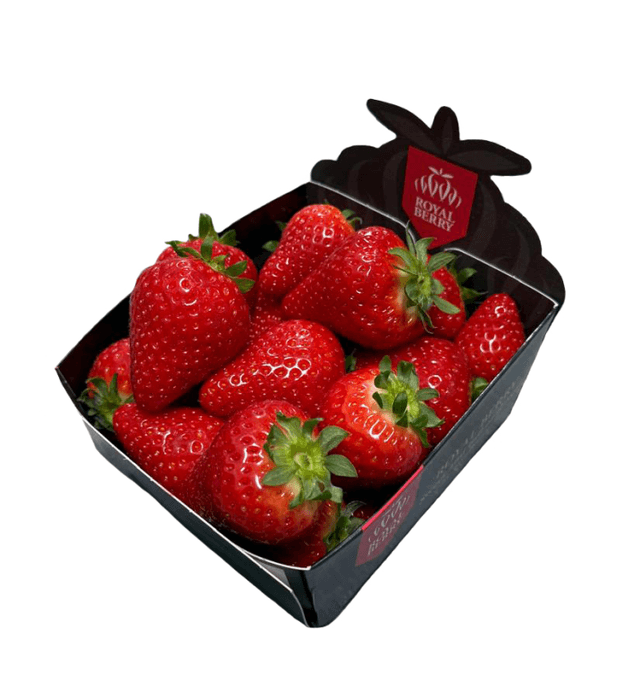 Aardbeien Hollandse 500 gram