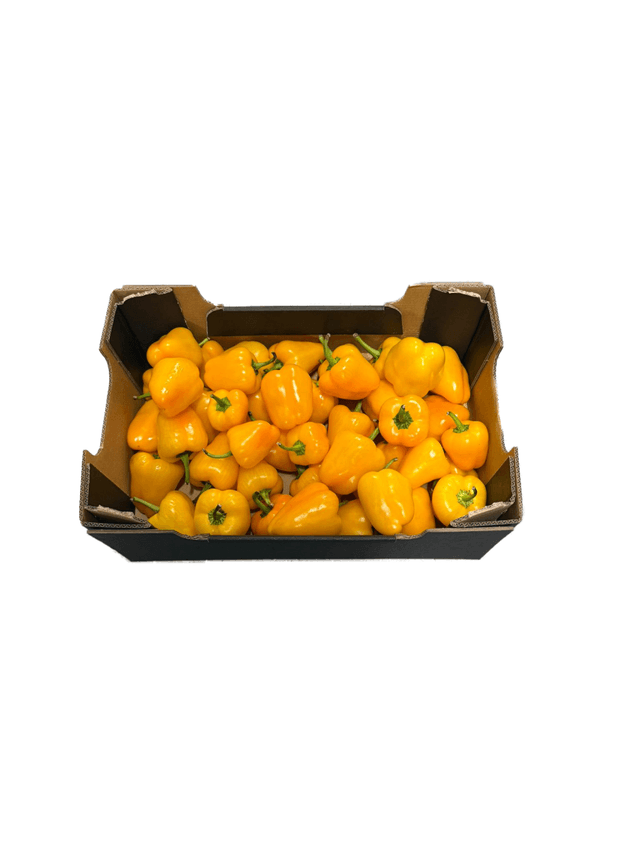 Mini paprika geel per kilo
