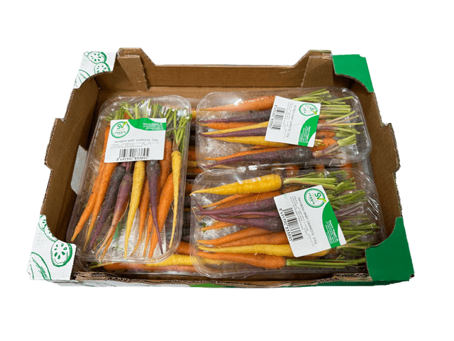 Mini bospeen rainbow  doos 6 stuks