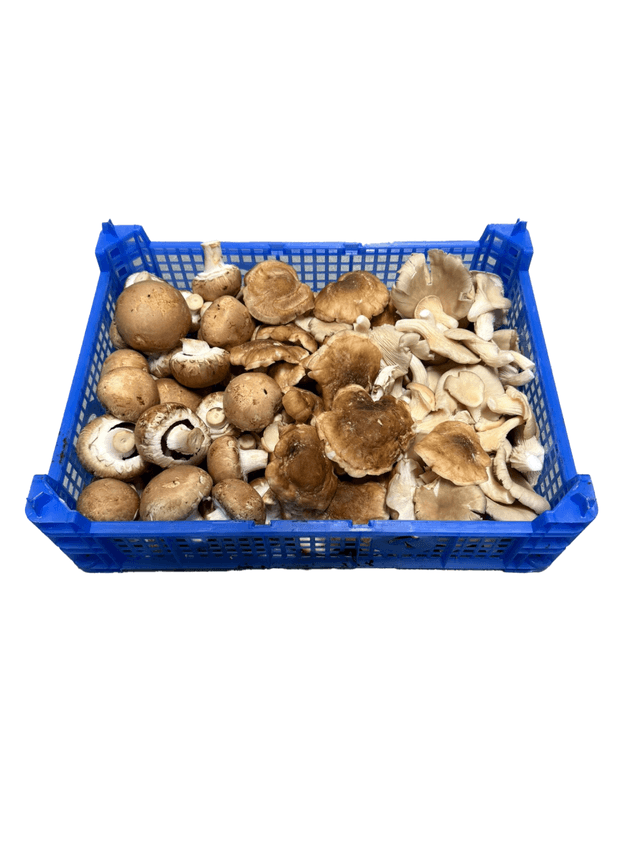 Heksenmix Roelofsen per kilo