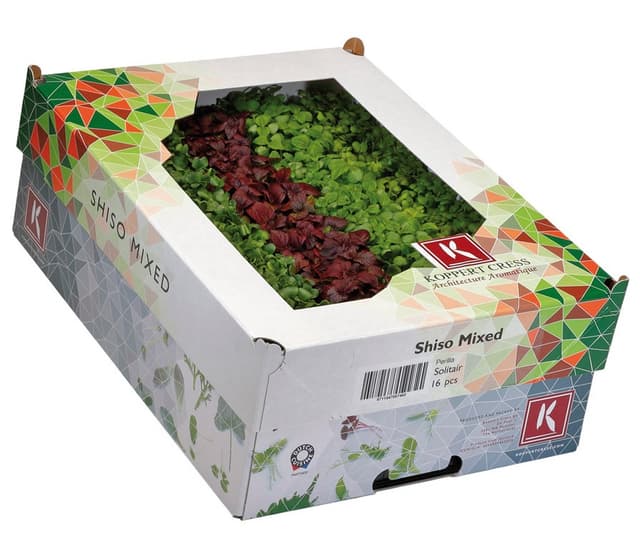 Shiso mixed per bakje