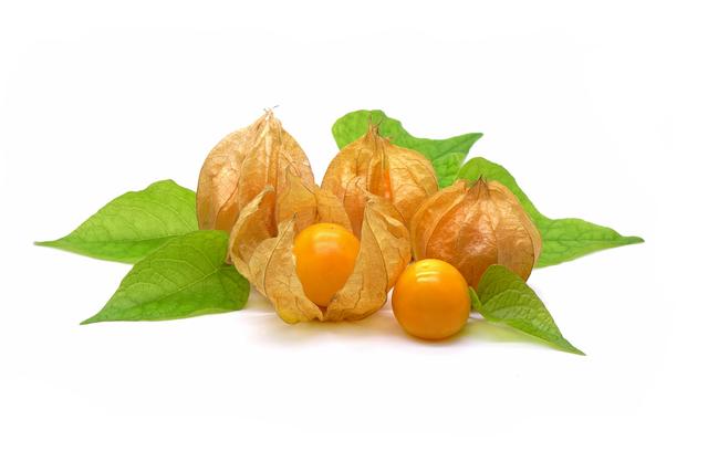 Physalis per bakje