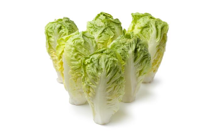 Little Gem per 6 stuks