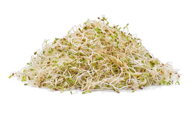 Alfalfa per bakje (100gram)