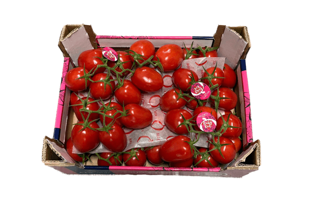 Pomodori tomaat per kist 5 kilo