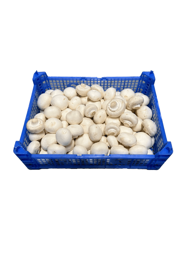 Champignons middel kist 3 kg.