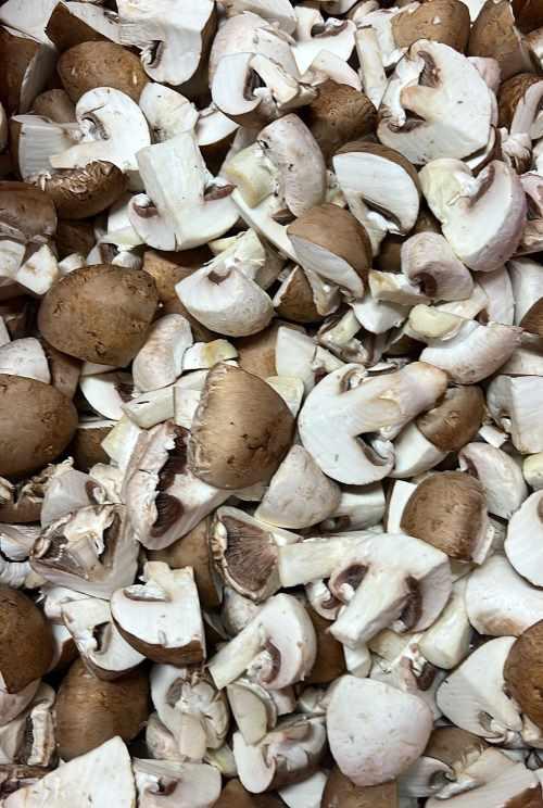 kastanje en champignon mix 12 kg